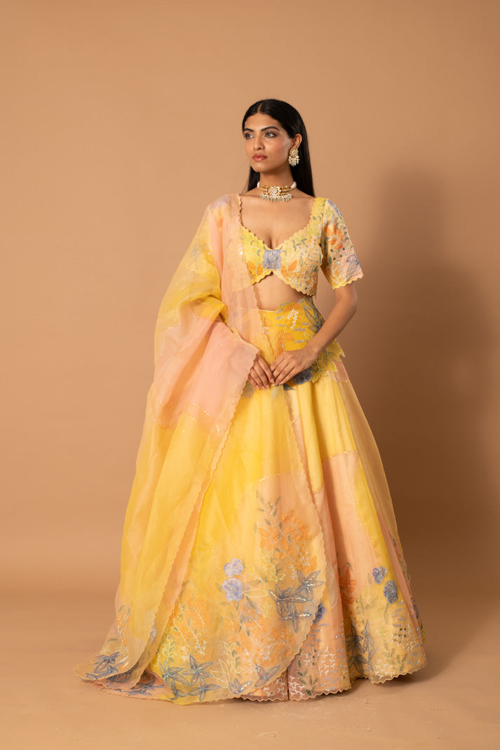 Mellow Soft Yellow Organza Lehenga with Handpaint, Cutdana & Sequin Embroidery