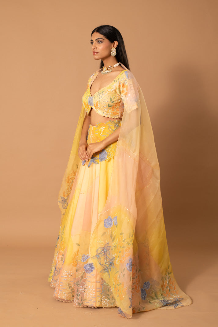 Mellow Soft Yellow Organza Lehenga with Handpaint, Cutdana & Sequin Embroidery
