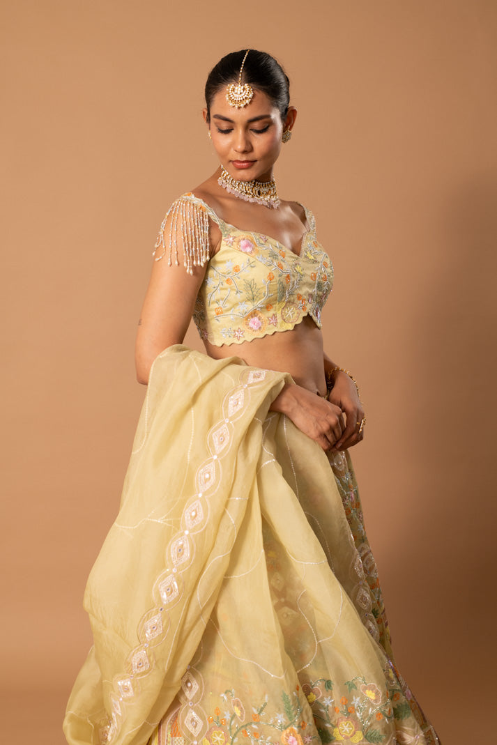 Solstice Pastel Lime Satin Organza Lehenga with Mughal Handpaint, Cutdana & Sequins