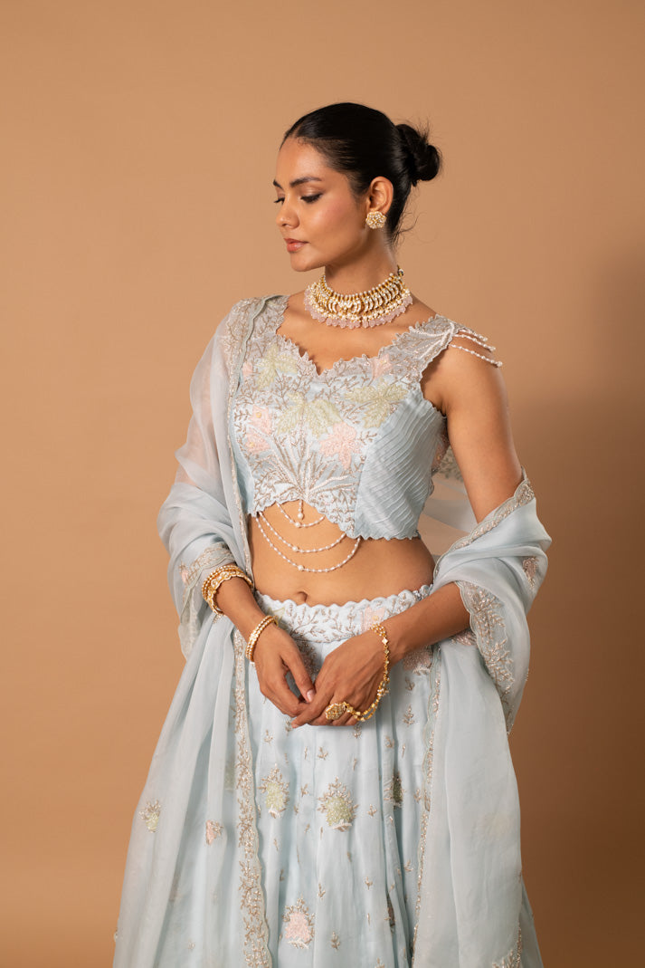 Serena Powder Blue Floral Lehenga