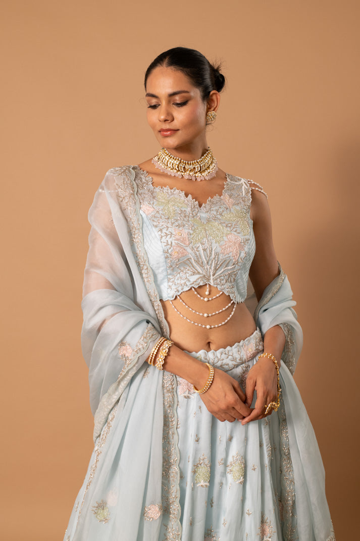 Serena Powder Blue Floral Lehenga