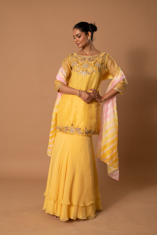 Canary Gota Embroidered Sharara Set
