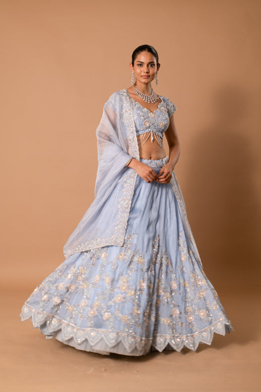 Moonstone Handpainted Sequin Lehenga
