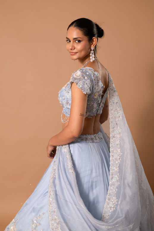 Moonstone Handpainted Sequin Lehenga