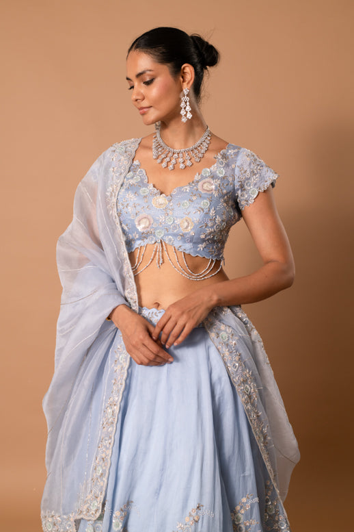Moonstone Handpainted Sequin Lehenga