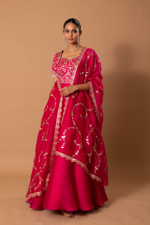 Vismaya Gota Jaal Anarkali Gown