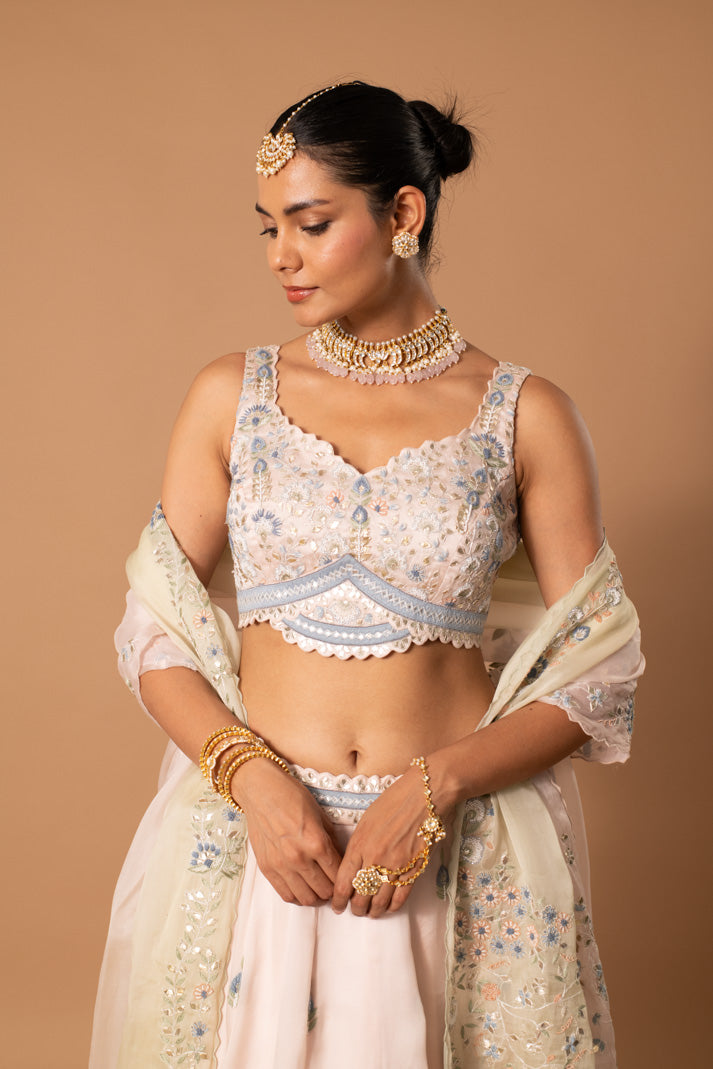 Gilded Gala Muted Pink Satin Organza Lehenga with Gota & Thread Embroidery