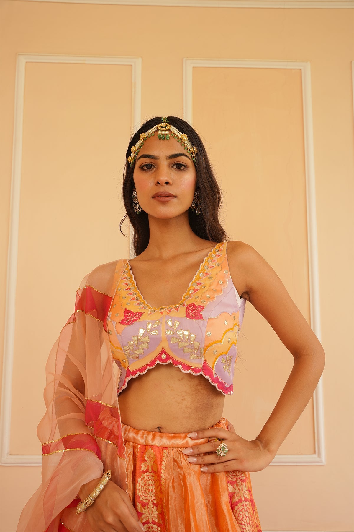 Aisha Handpainted Tissue Lehenga