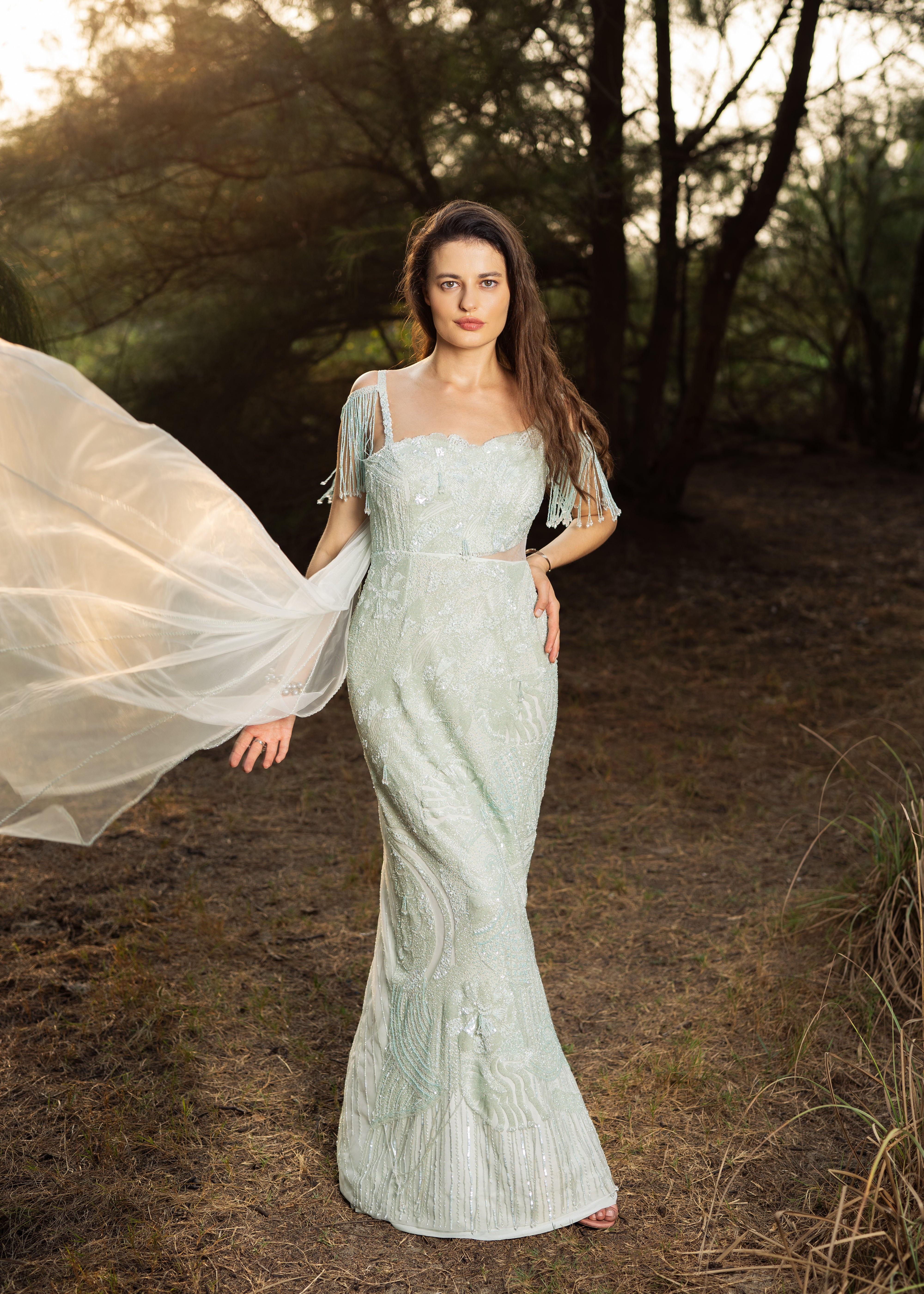 Moonlit Whisper Gown with Trail