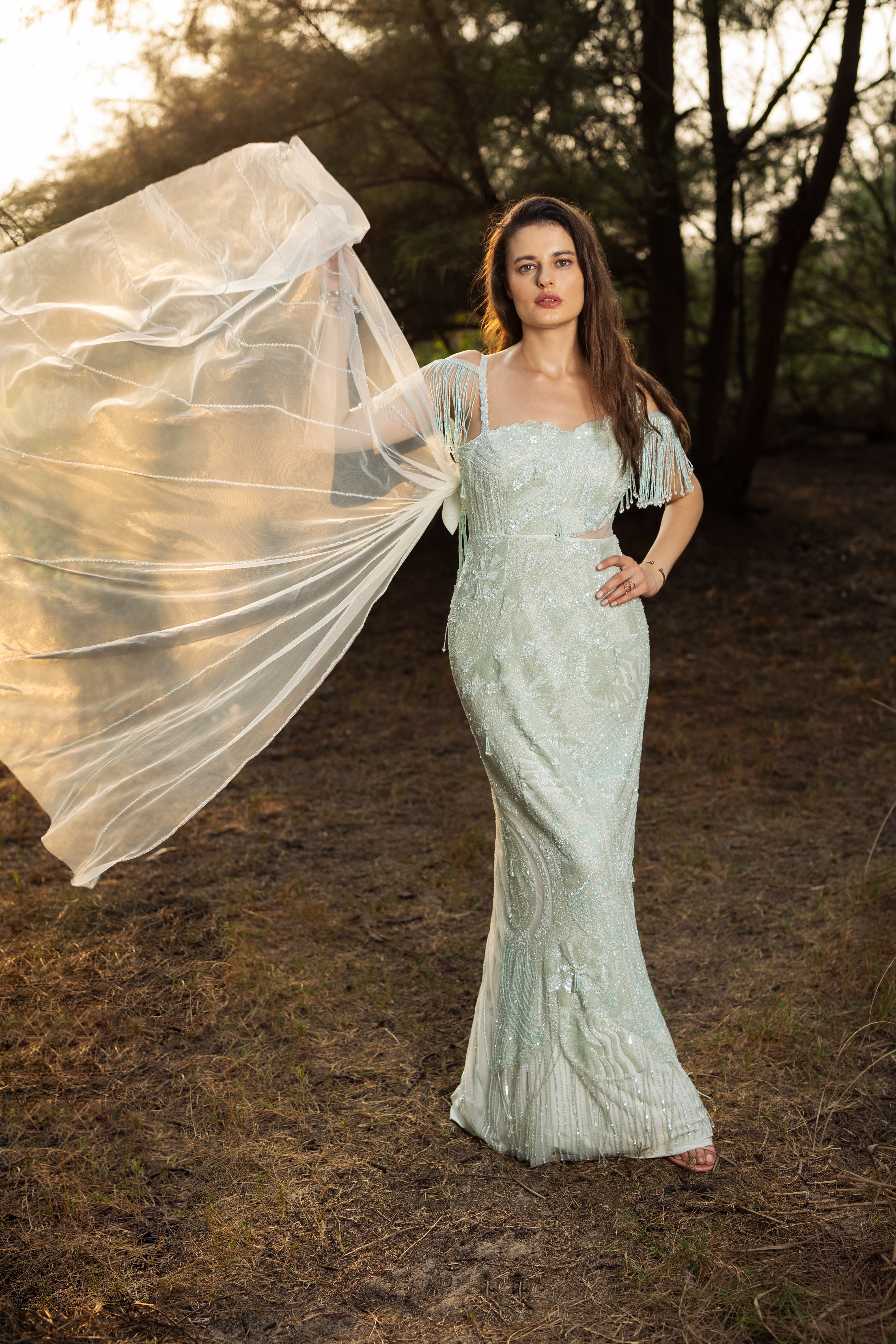 Moonlit Whisper Gown with Trail
