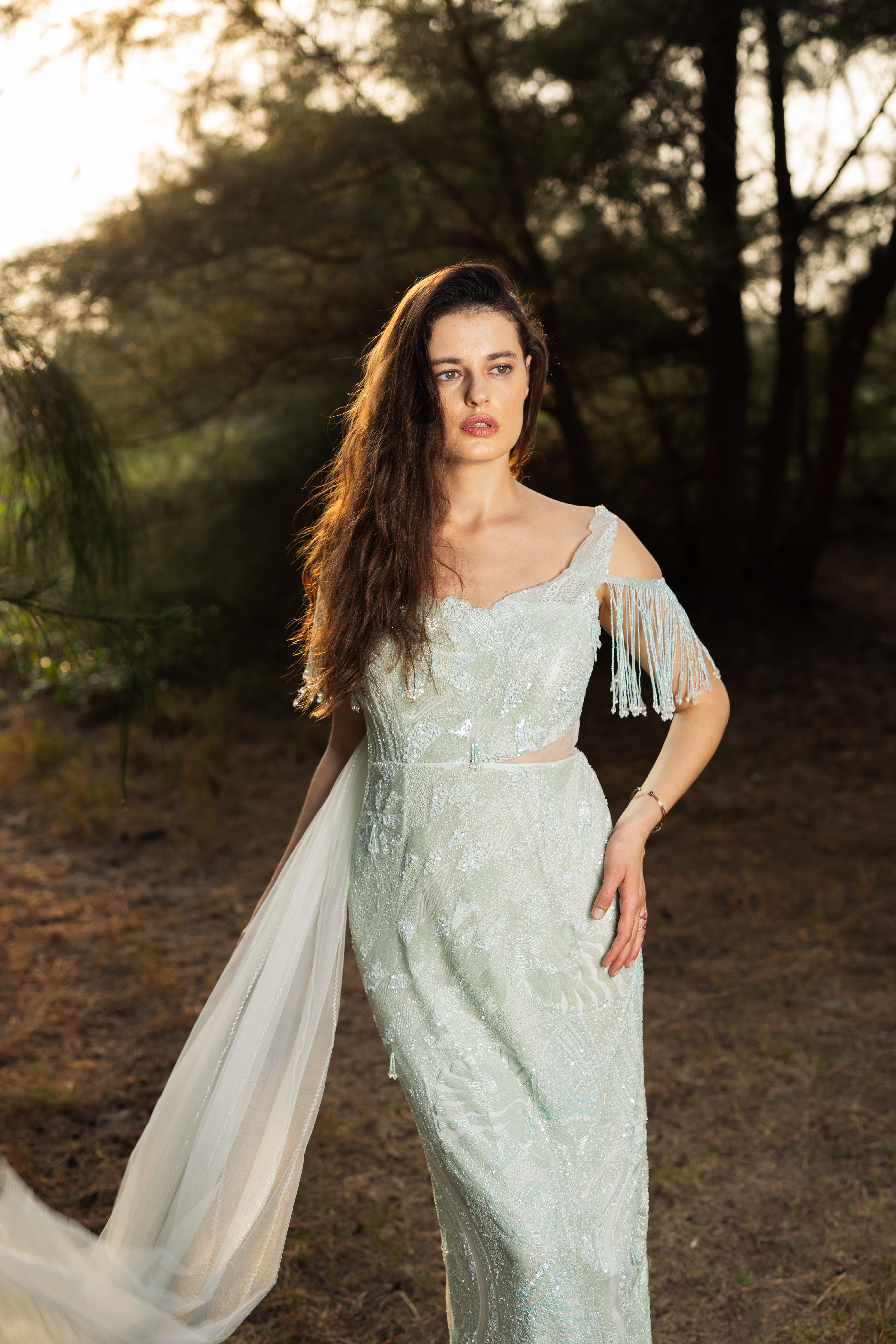 Moonlit Whisper Gown with Trail