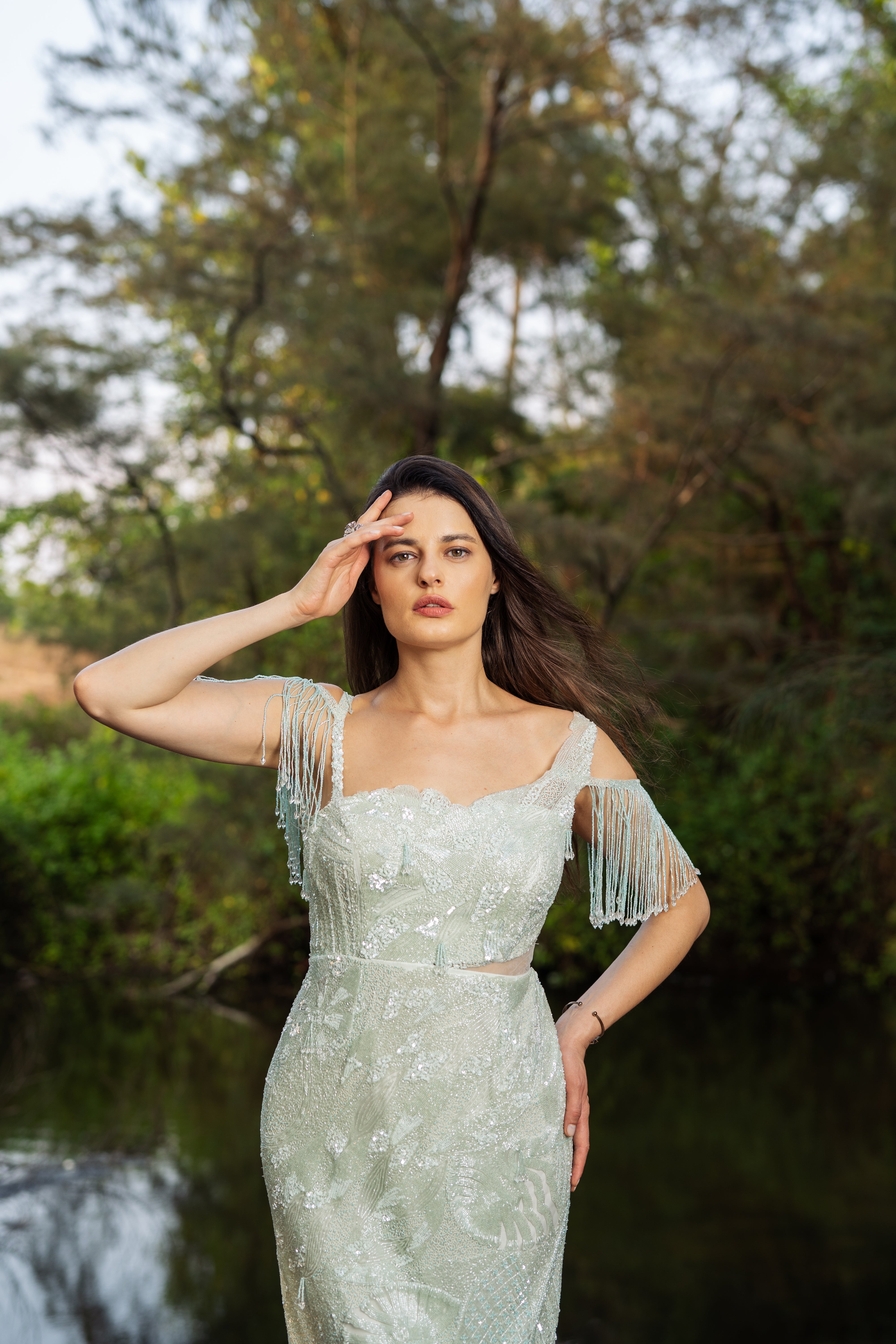 Moonlit Whisper Gown with Trail