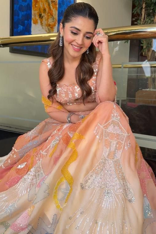 Rumi Handpainted Orange Lehenga