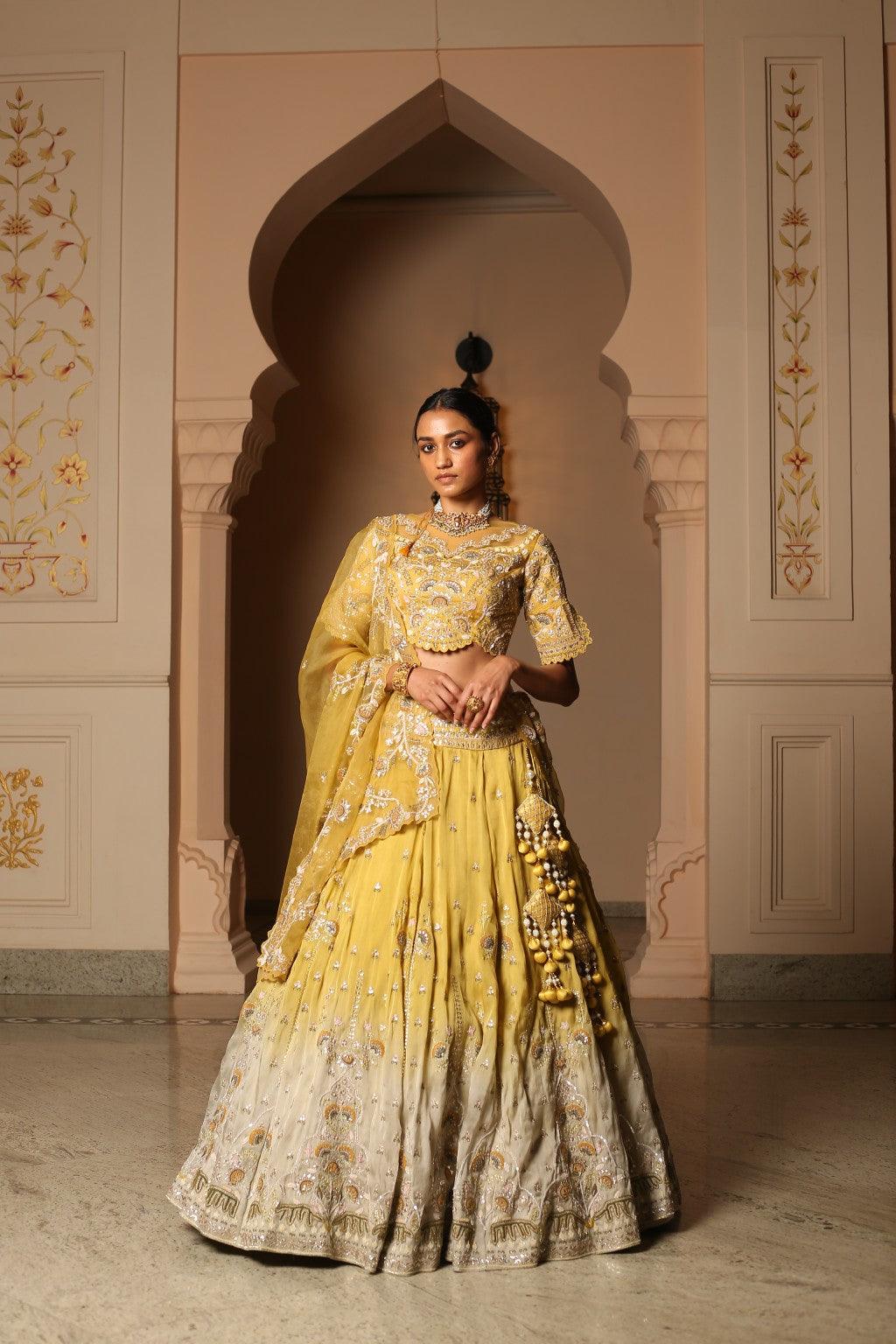 Ayatee Lemon Grey Ombre Gota Embroidered Organza Lehenga Set