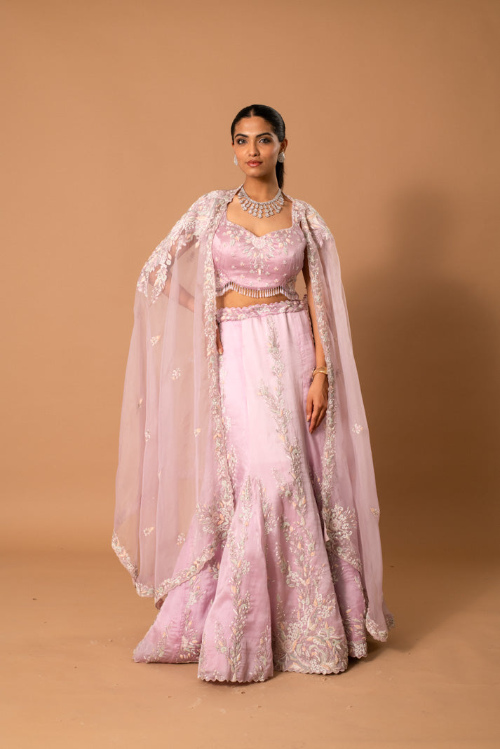 Muted Silver Embroidered Lehenga